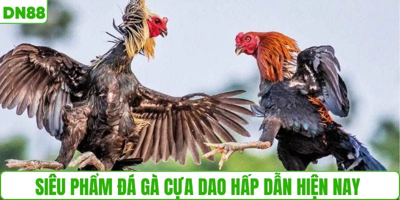 Siêu phẩm đá gà cựa dao hấp dẫn hiện nay